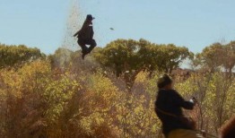 大漠神鹰全集在线观看,穿越风沙的传奇之旅